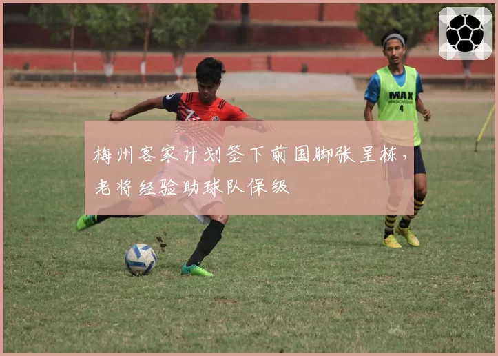 梅州客家计划签下前国脚张呈栋，老将经验助球队保级