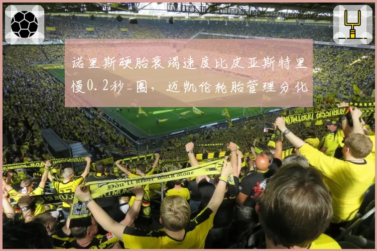 诺里斯硬胎衰竭速度比皮亚斯特里慢0.2秒_圈,迈凯伦轮胎管理分化明显