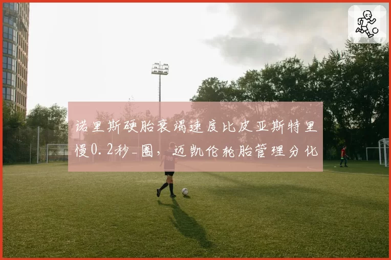 诺里斯硬胎衰竭速度比皮亚斯特里慢0.2秒_圈，迈凯伦轮胎管理分化明显