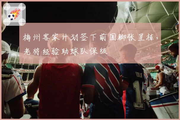 梅州客家计划签下前国脚张呈栋，老将经验助球队保级