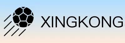 XINGKONG星空体育 logo